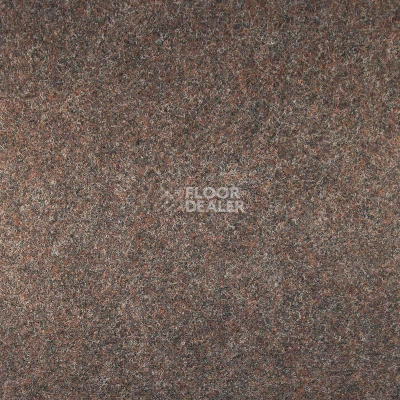 Ковровая плитка Tapisom XL 21 Brown xl 21 419702105 00912 фото 1 | FLOORDEALER